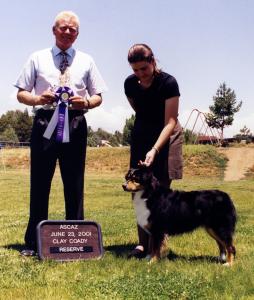 Clover winning Reserve Winners Bitch under Judge Clay Coady at NAASA, 23 June, 2001    